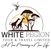 white-pigeon-logo